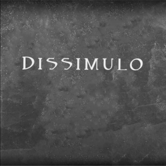 dissimulo_merch